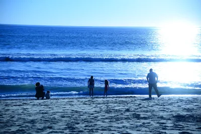 DSC_1181 (Large).JPG